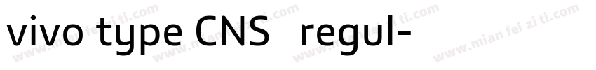 vivo type CNS简 regul字体转换